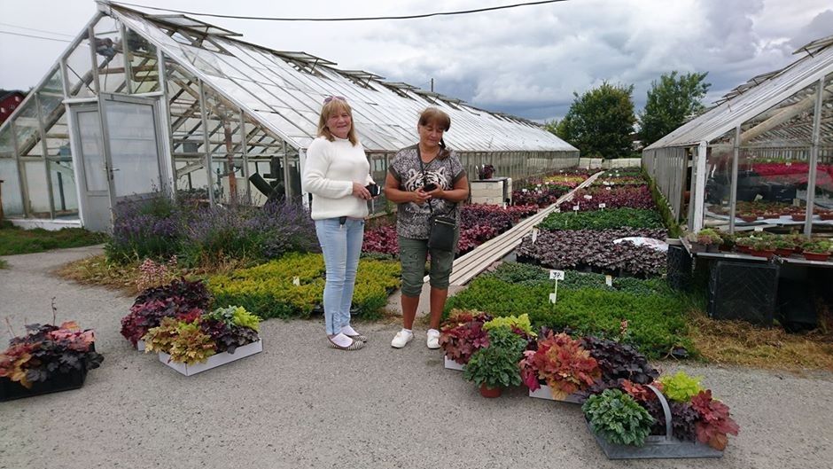 Damer fra BERGEN tok turen over for en suveren plantehandel
