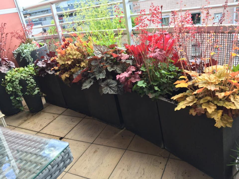 Blomster Balkong () Blomster Balkong